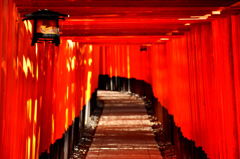 千本鳥居