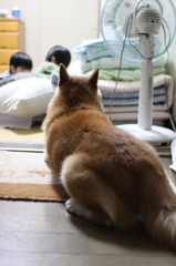 まぜて