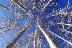 雪のち晴れ