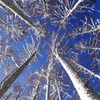 雪のち晴れ