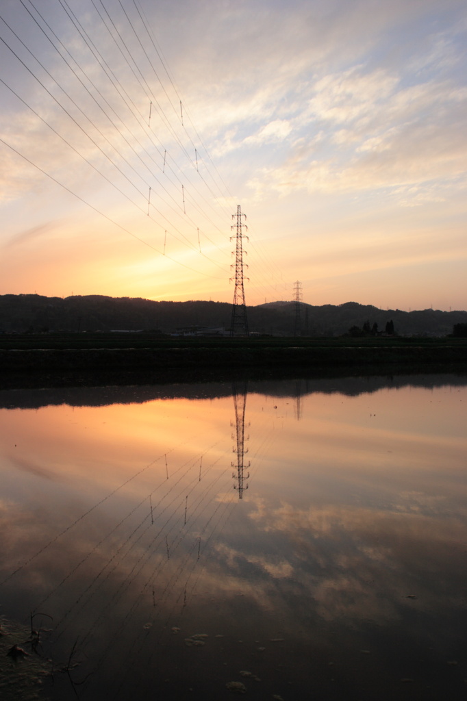 田園