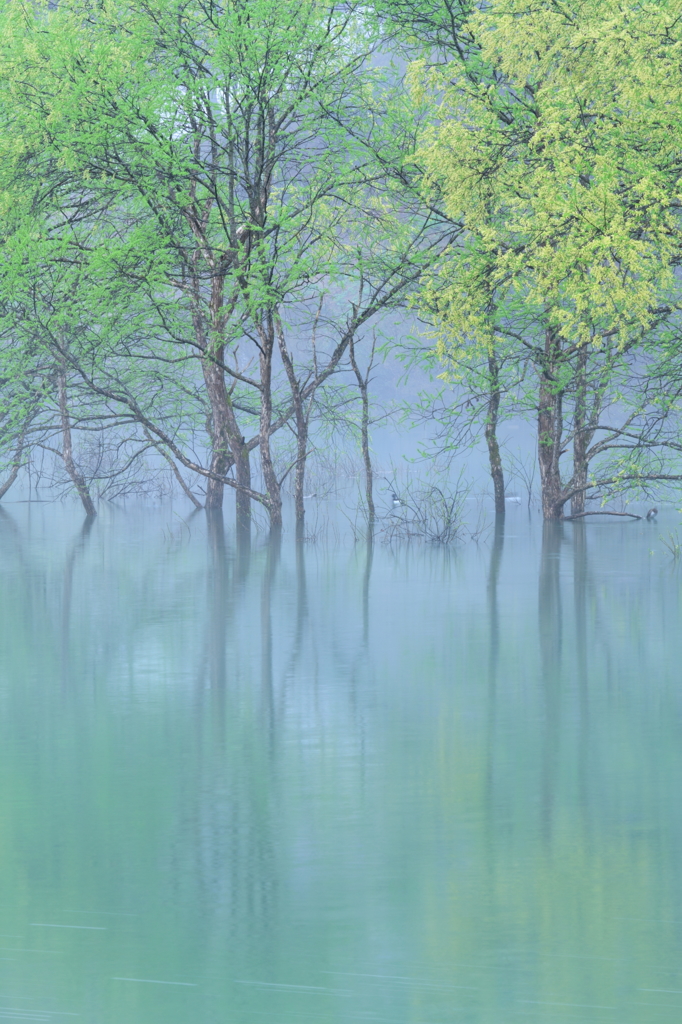 misty morning