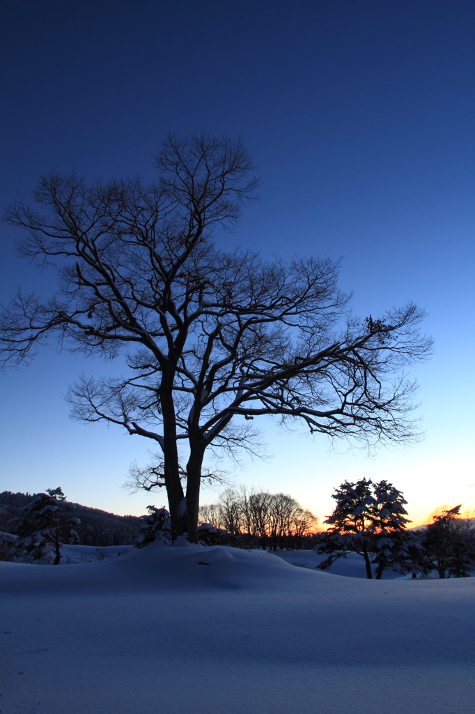 吹雪ときどき晴れ