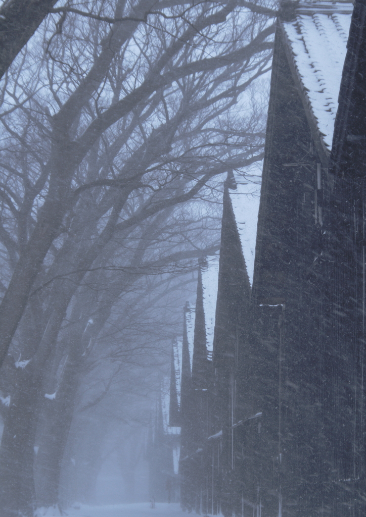 地吹雪の頃