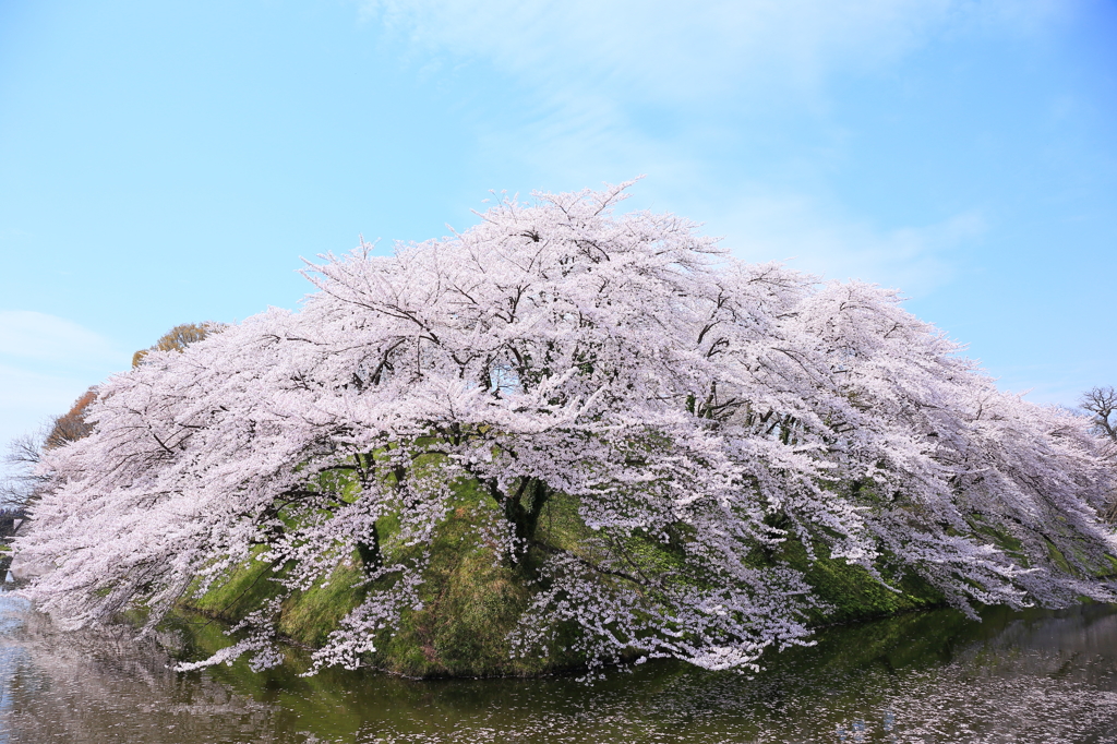 晴天なり