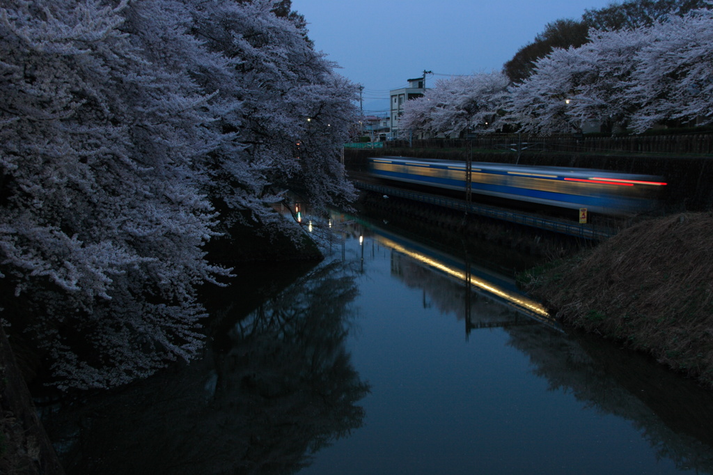 さくら列車