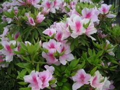 PICT0002