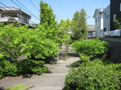 近所の風景