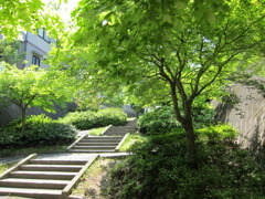 通学路