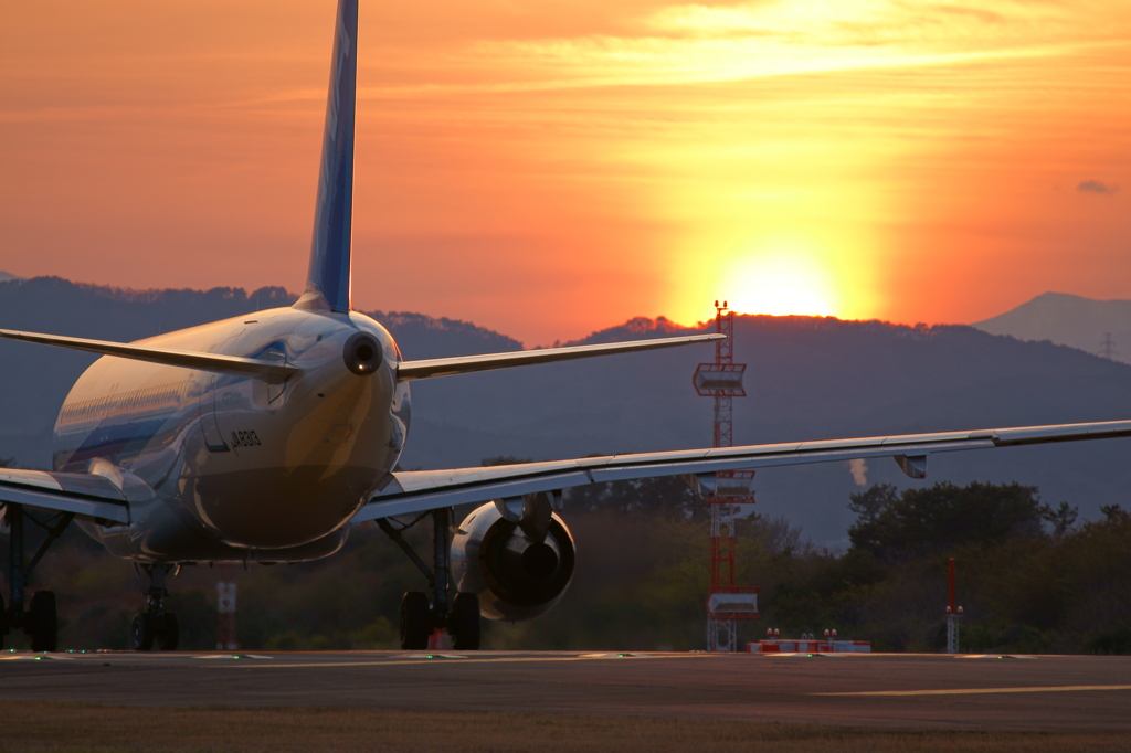 飛行機