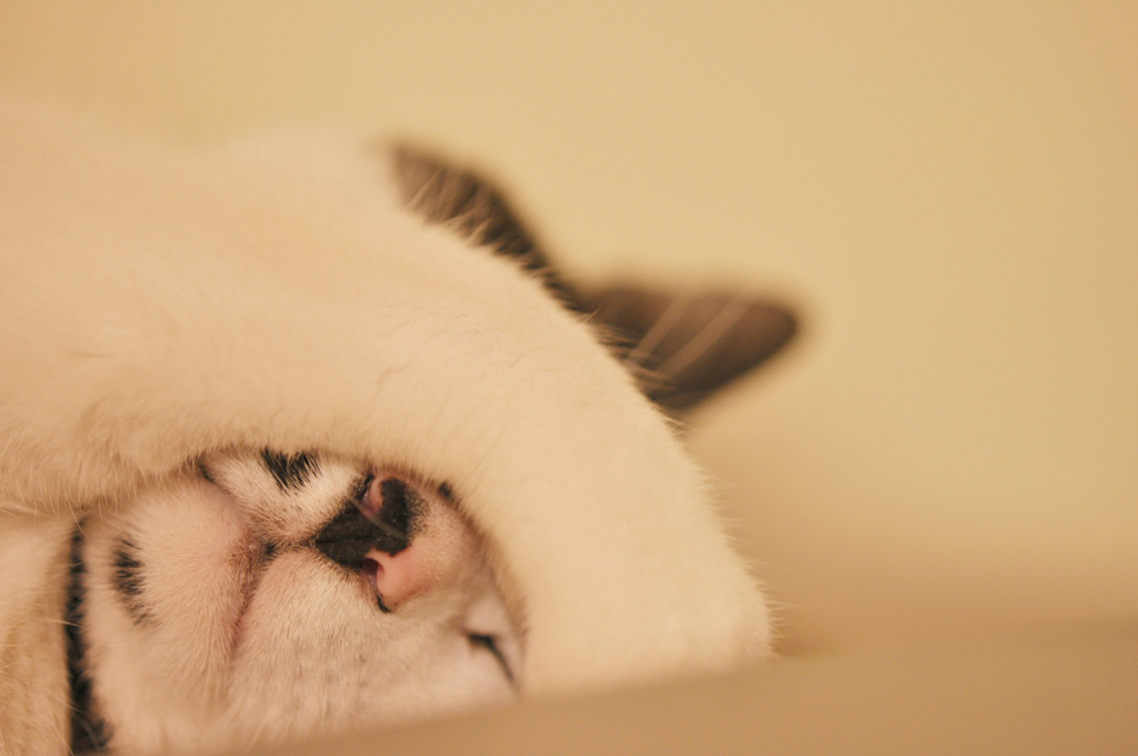 wanna sleep!
