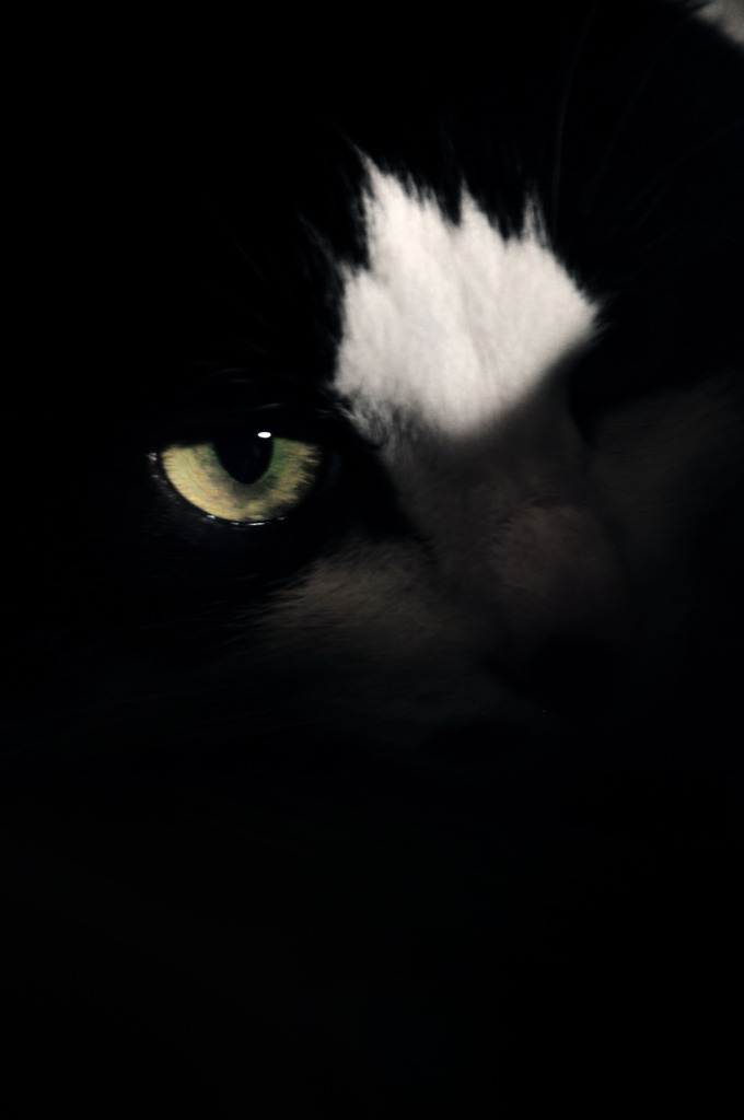 on a night with a full moon …