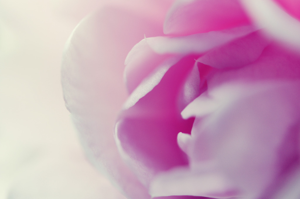 natural gradation