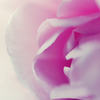natural gradation
