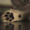 足の裏洗ってる？