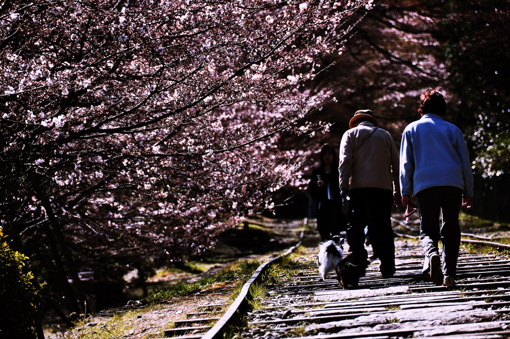 spring for four