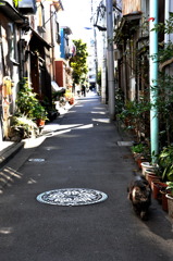 あ、どうも。