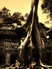 TIME－ta prohm