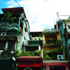 thin houses