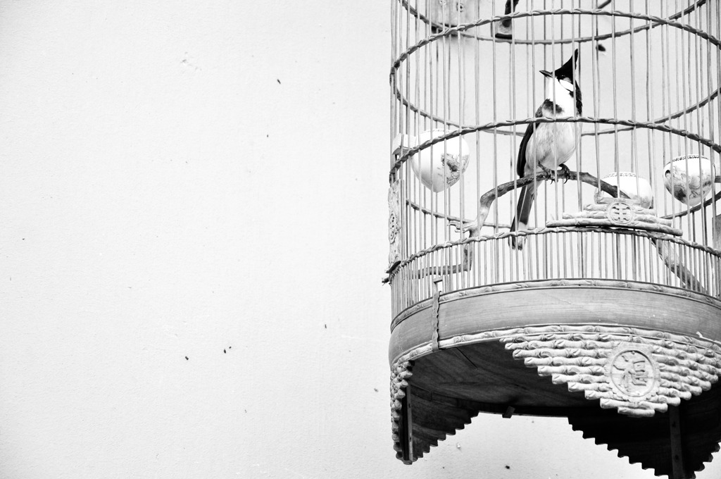 hanoi-monochrome9