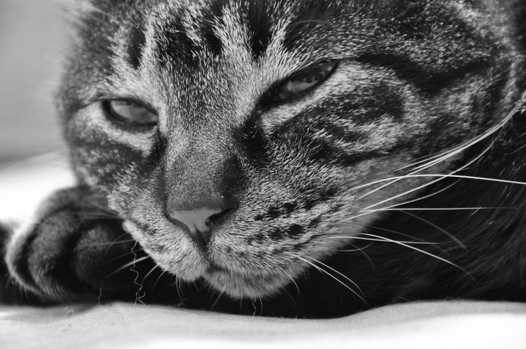 wanna sleep