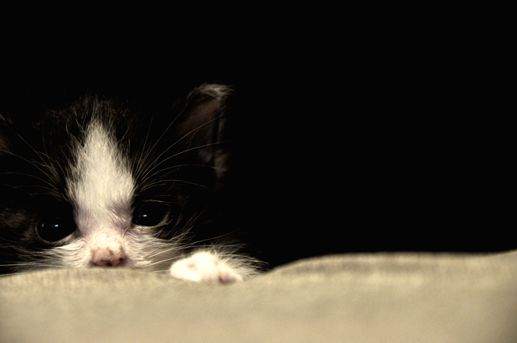 hello!