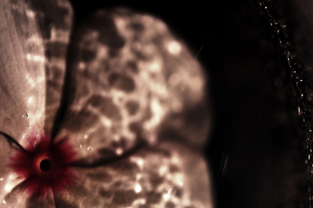 volcano-macro