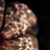 volcano-macro