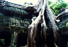 ta prohm