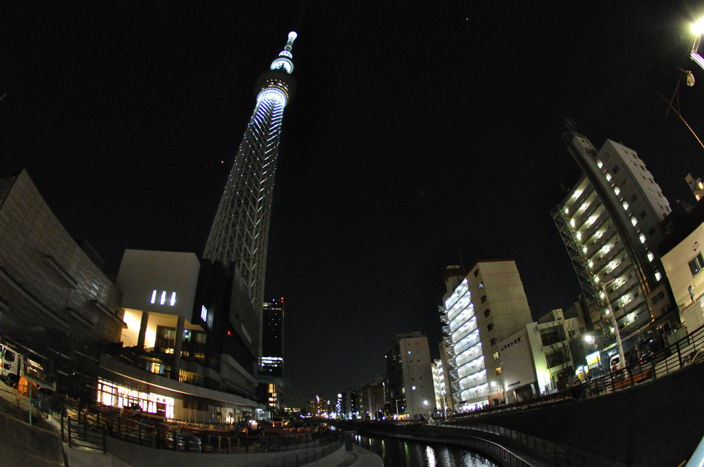 新夜景