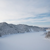 Winter Wonderland