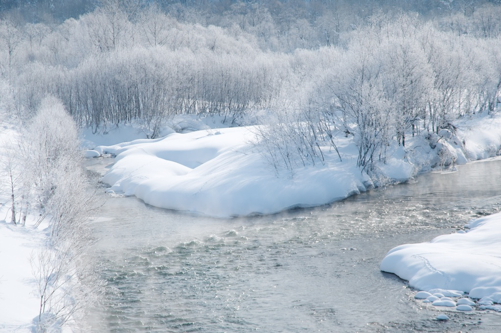 ひとときの樹氷