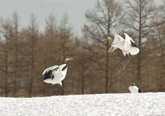 子別れの始まり