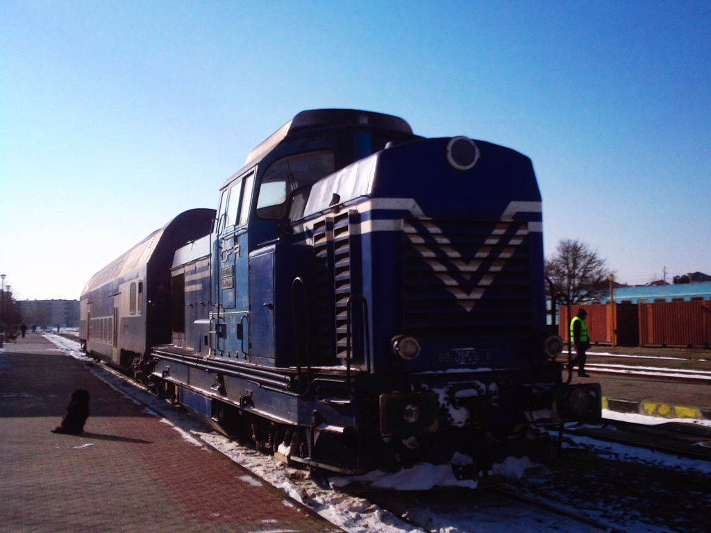 鉄道と犬