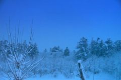利尻の冬～青い時