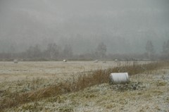 北海道の牧歌的風景～初冬