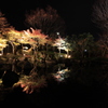 大磯城山公園2