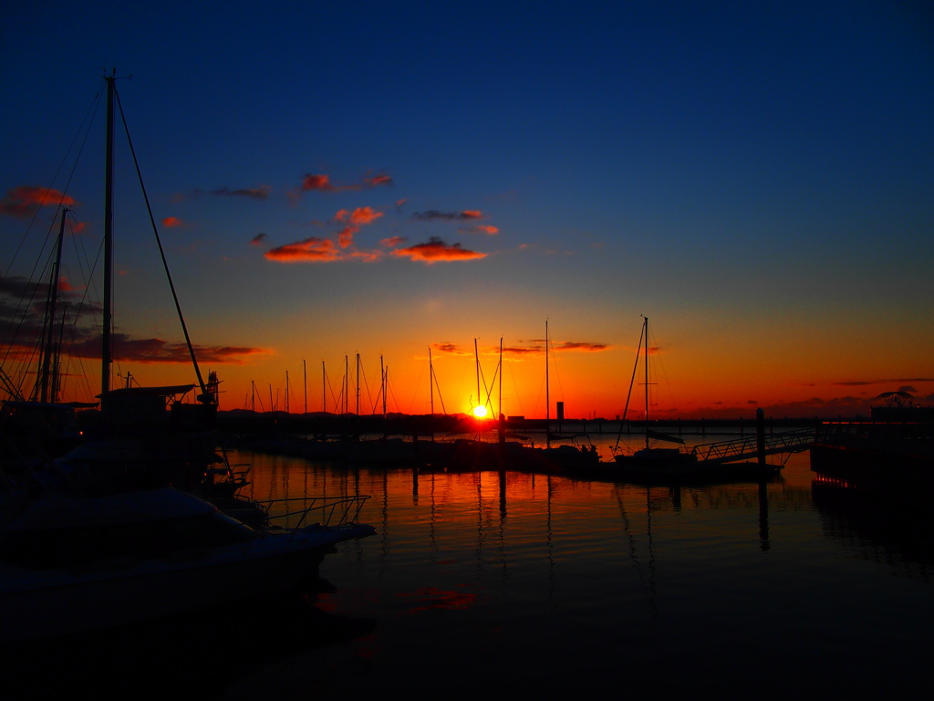 sunrise yacht harbor