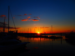 sunrise yacht harbor