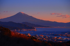 朝陽に染まる