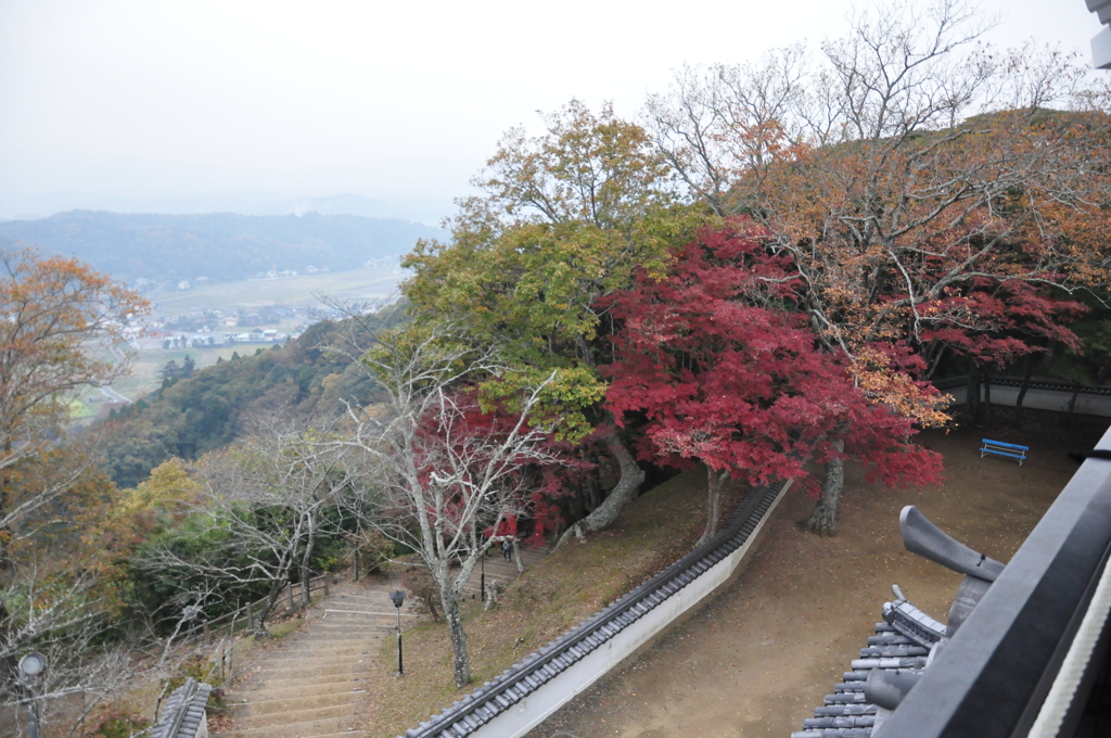 久留里城から城下を臨む