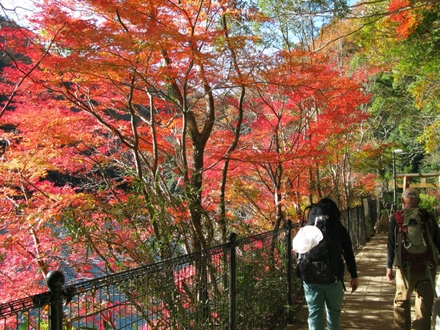 布引貯水池湖畔