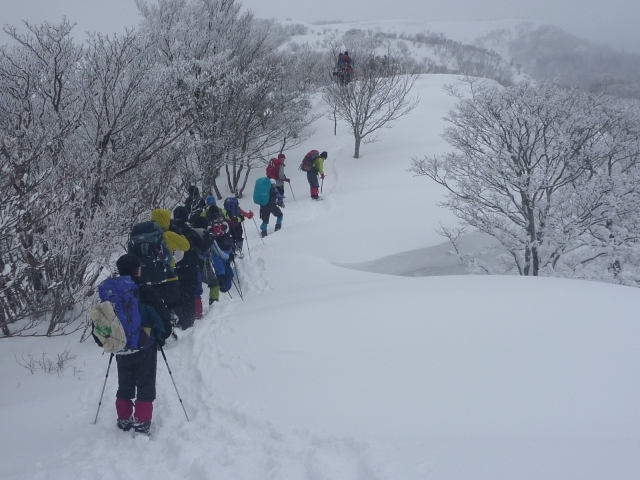 権現山～蓬莱山　雪庇の横を通る