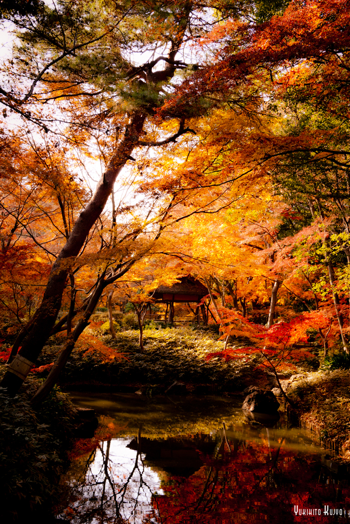 想像の六義園