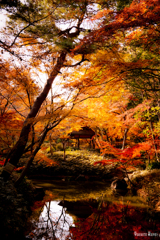 想像の六義園