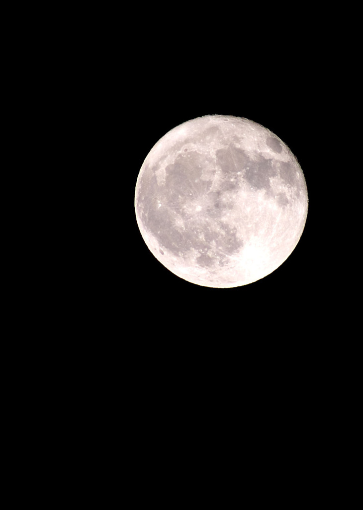 満月の夜