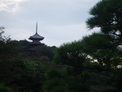 DSCF0011