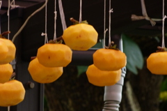 P1010274