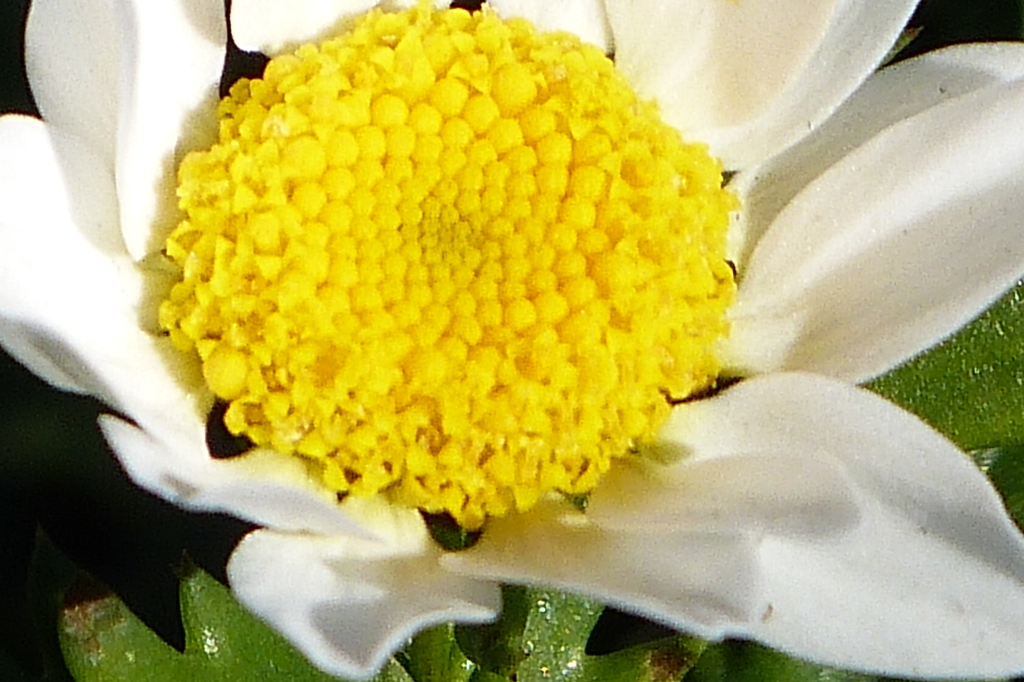 P1010962