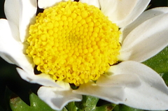 P1010962